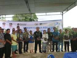 ‎Pemkab Tapanuli Utara gandeng TJSL PT. Taspen (Persero) berikan 1.500 bibit Durian Unggul kepada Kelompok Tani Kecamatan Parmonangan