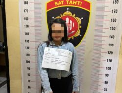 Nyamar Jadi Pembeli, Tim Drugs Wolfa Satresnarkoba Polres Toba Tangkap Seorang Wanita Jual Ekstasi di Room Cafe di Balige