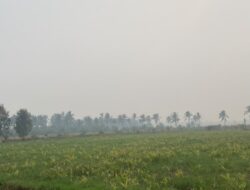 Kabut Asap Parah, Sekolah di Tanjung Lago Banyuasin Kembali Perpanjang Masa PJJ hingga 4 Oktober 2026